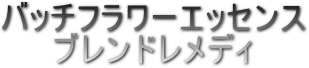ob`m̃t[GbZX
uً}ԁv