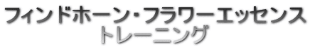 tBhz[Et[GbZX
g[jO