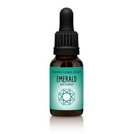 �y�Q�O�������z�G�������h