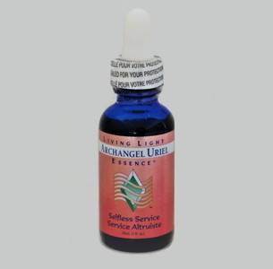 �y�Q�O�������z��V�g�E���G���@�i��V�g�̃V���[�Y�j